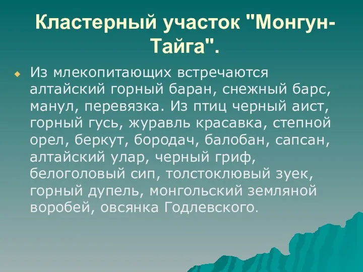 Кластерный участок "Монгун-Тайга". Из млекопитающих встречаются алтайский горный баран, снежный барс,