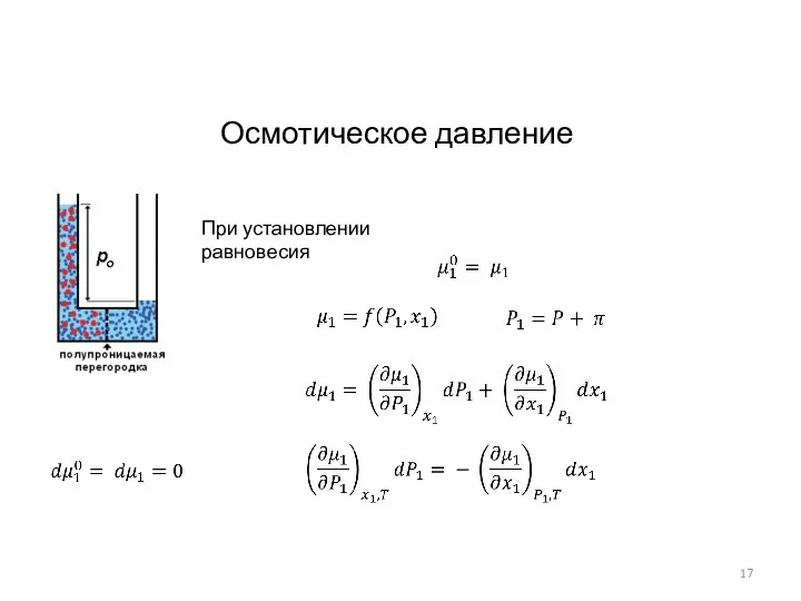 При установлении равновесия Осмотическое давление