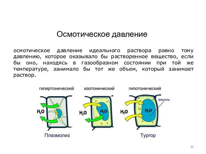 осмотическое давление идеального раствора равно тому давлению, которое оказывало бы растворенное