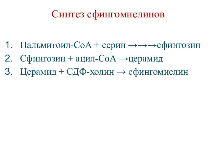 Синтез сфингомиелинов Пальмитоил-СоА + серин →→→сфингозин Сфингозин + ацил-СоА →церамид Церамид + СДФ-холин → сфингомиелин