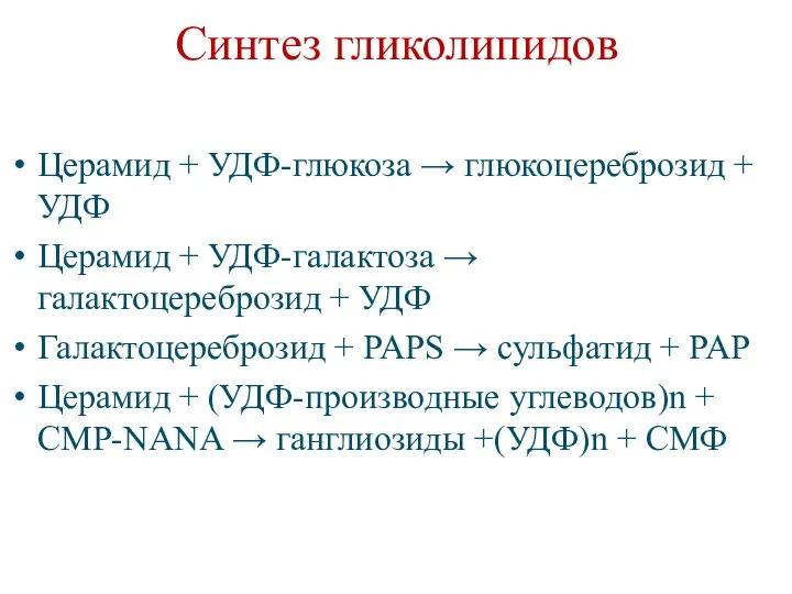 Синтез гликолипидов Церамид + УДФ-глюкоза → глюкоцереброзид + УДФ Церамид +