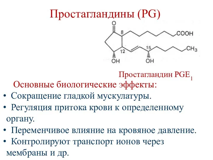 Простагландины (PG) Простагландин PGЕ1 Основные биологические эффекты: Сокращение гладкой мускулатуры. Регуляция