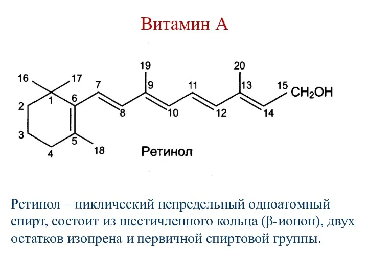 Витамин А Ретинол – циклический непредельный одноатомный спирт, состоит из шестичленного