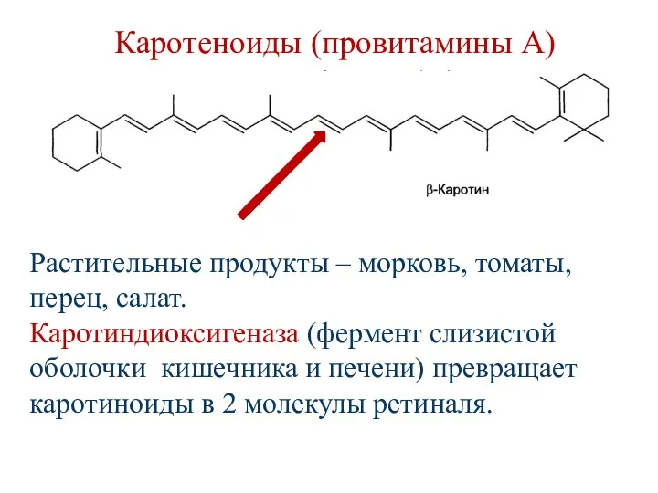 Каротеноиды (провитамины А) Растительные продукты – морковь, томаты, перец, салат. Каротиндиоксигеназа