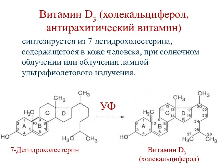 Витамин D3 (холекальциферол, антирахитический витамин) синтезируется из 7-дегидрохолестерина, содержащегося в коже