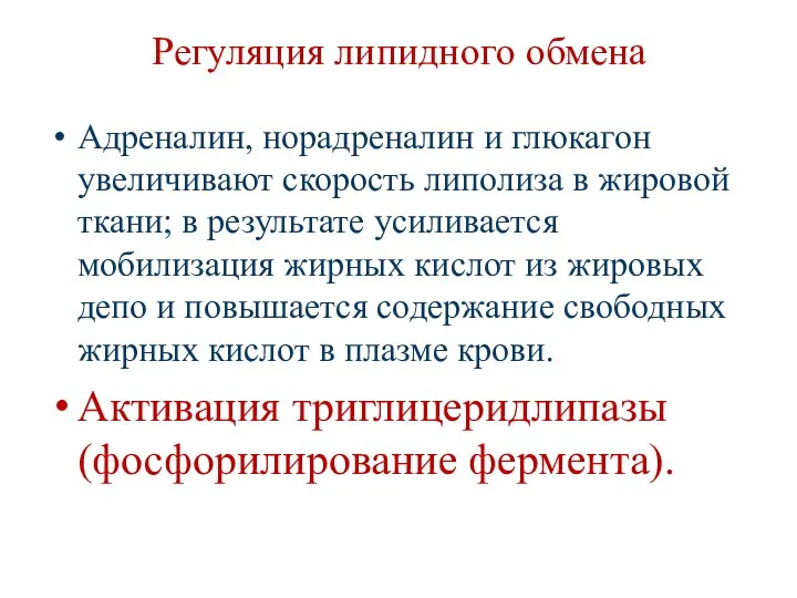 Регуляция липидного обмена Адреналин, норадреналин и глюкагон увеличивают скорость липолиза в