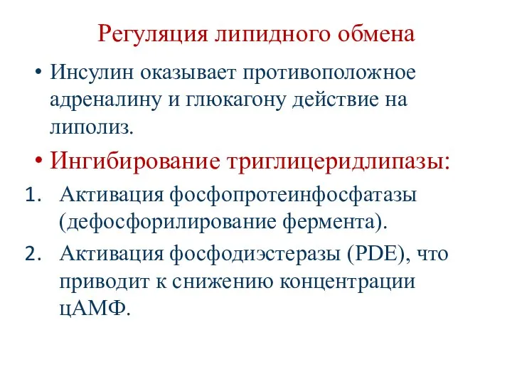 Регуляция липидного обмена Инсулин оказывает противоположное адреналину и глюкагону действие на