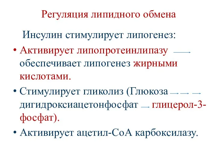 Регуляция липидного обмена Инсулин стимулирует липогенез: Активирует липопротеинлипазу обеспечивает липогенез жирными