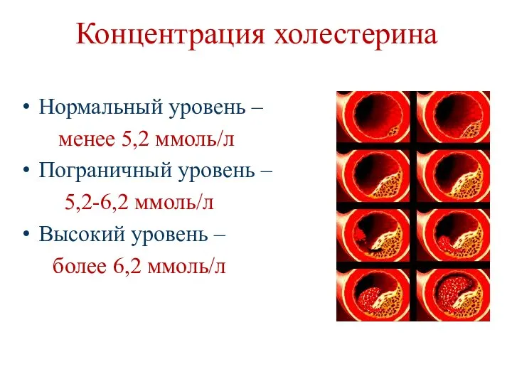 Концентрация холестерина Нормальный уровень – менее 5,2 ммоль/л Пограничный уровень –