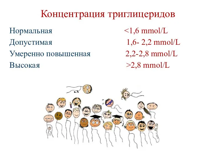 Концентрация триглицеридов Нормальная Допустимая 1,6- 2,2 mmol/L Умеренно повышенная 2,2-2,8 mmol/L Высокая >2,8 mmol/L