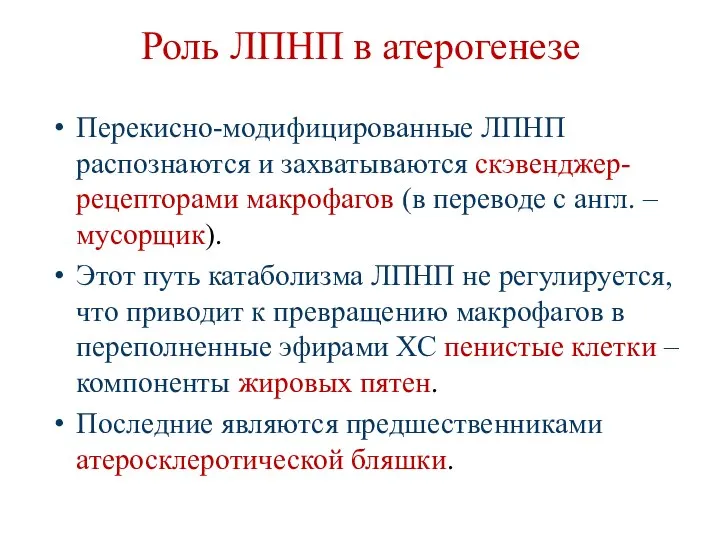 Роль ЛПНП в атерогенезе Перекисно-модифицированные ЛПНП распознаются и захватываются скэвенджер-рецепторами макрофагов