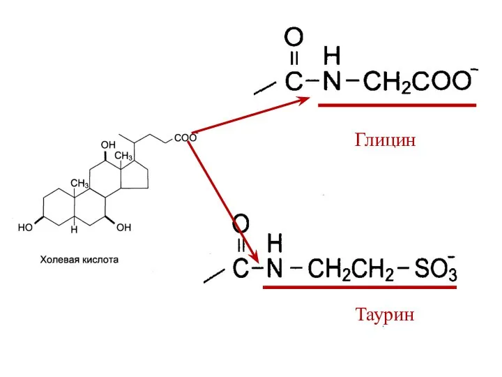 Таурин Глицин