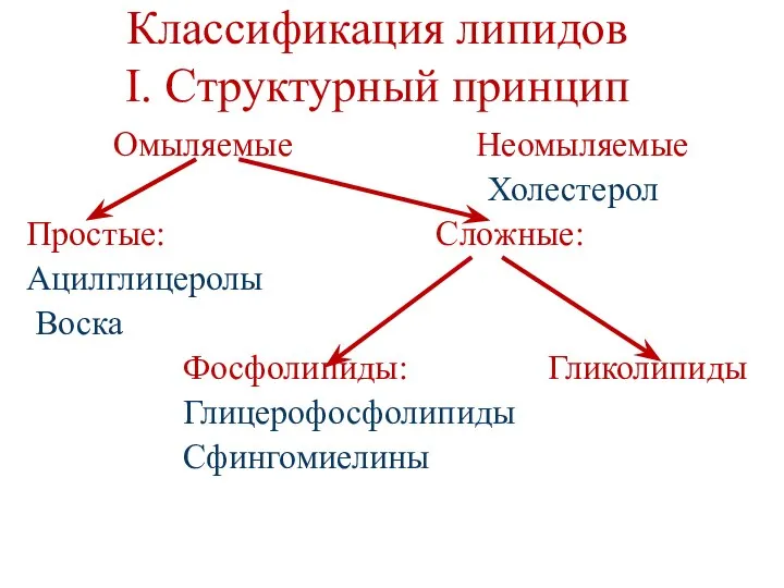 Классификация липидов I. Cтруктурный принцип Омыляемые Неомыляемые Холестерол Простые: Сложные: Ацилглицеролы Воска Фосфолипиды: Гликолипиды Глицерофосфолипиды Сфингомиелины