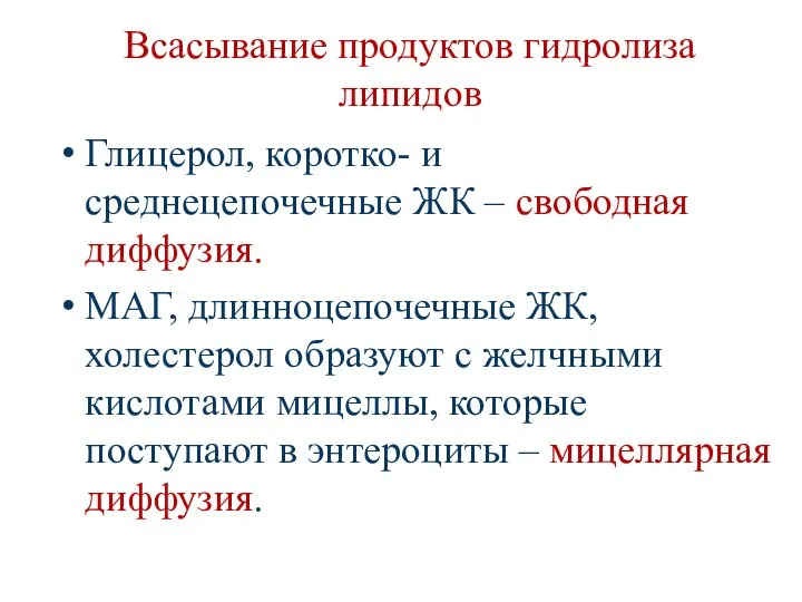 Всасывание продуктов гидролиза липидов Глицерол, коротко- и среднецепочечные ЖК – свободная