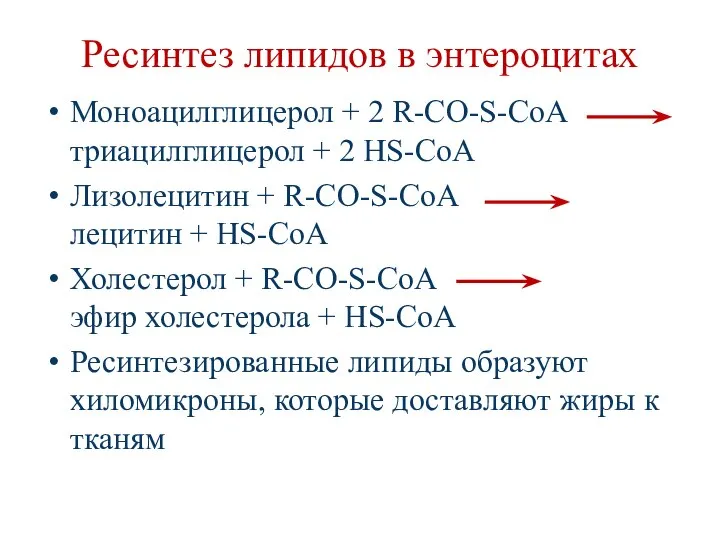 Ресинтез липидов в энтероцитах Моноацилглицерол + 2 R-CO-S-CoA триацилглицерол + 2