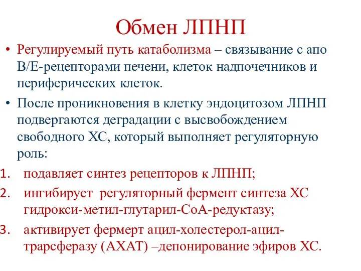 Обмен ЛПНП Регулируемый путь катаболизма – связывание с апо В/Е-рецепторами печени,