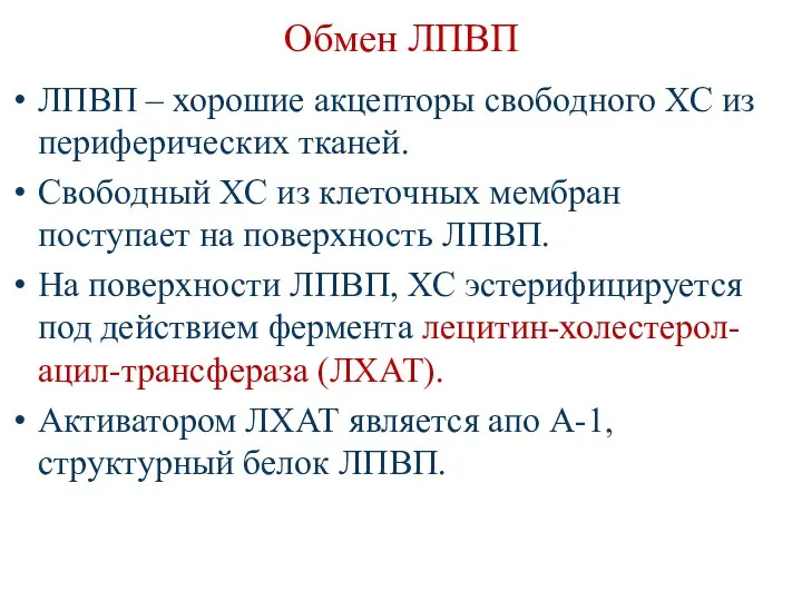 Обмен ЛПВП ЛПВП – хорошие акцепторы свободного ХС из периферических тканей.