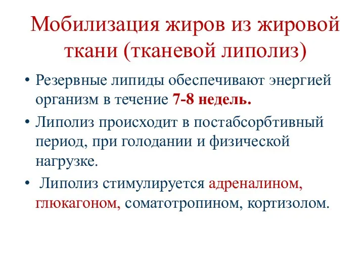 Мобилизация жиров из жировой ткани (тканевой липолиз) Резервные липиды обеспечивают энергией