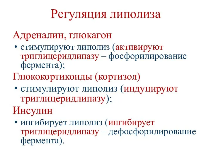 Регуляция липолиза Адреналин, глюкагон стимулируют липолиз (активируют триглицеридлипазу – фосфорилирование фермента);