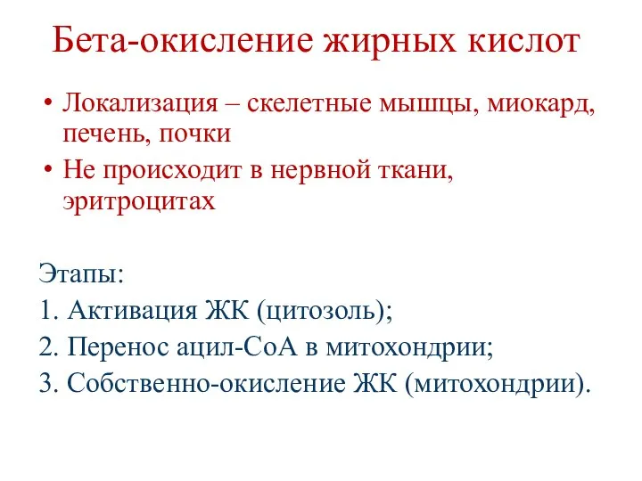 Бета-окисление жирных кислот Локализация – скелетные мышцы, миокард, печень, почки Не