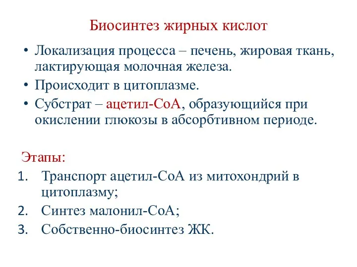 Биосинтез жирных кислот Локализация процесса – печень, жировая ткань, лактирующая молочная