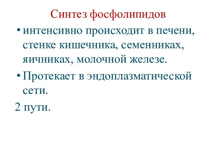 Синтез фосфолипидов интенсивно происходит в печени, стенке кишечника, семенниках, яичниках, молочной