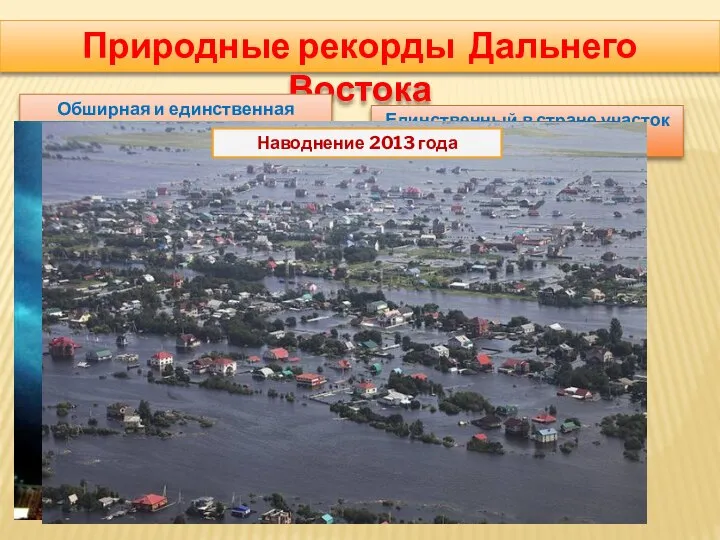 Природные рекорды Дальнего Востока Обширная и единственная область муссонного климат- Тайфуны