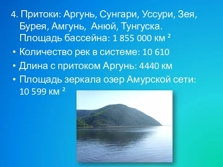 4. Притоки: Аргунь, Сунгари, Уссури, Зея, Бурея, Амгунь, Анюй, Тунгуска. Площадь