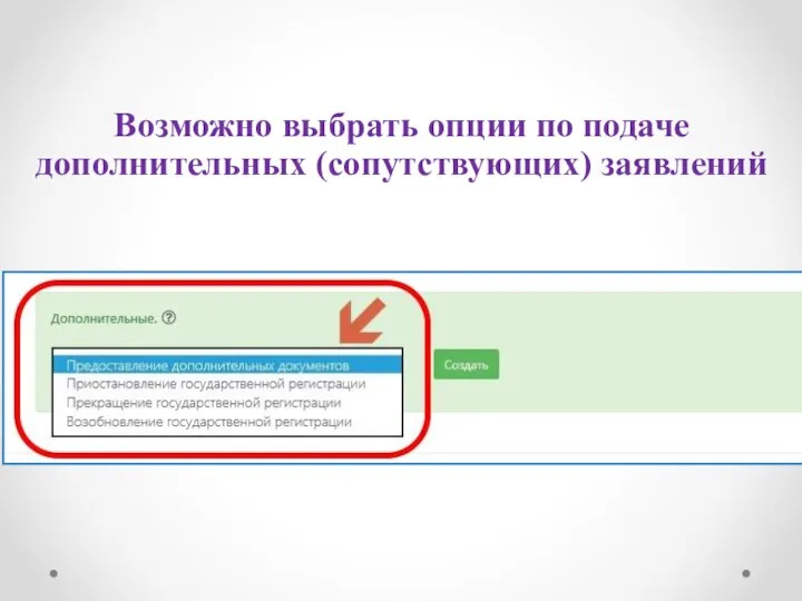 Возможно выбрать опции по подаче дополнительных (сопутствующих) заявлений