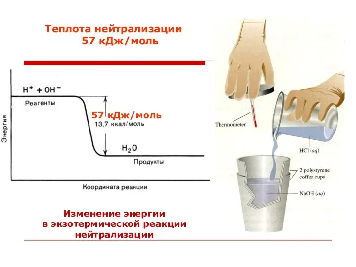 Теплота нейтрализации 57 кДж/моль Изменение энергии в экзотермической реакции нейтрализации 57 кДж/моль