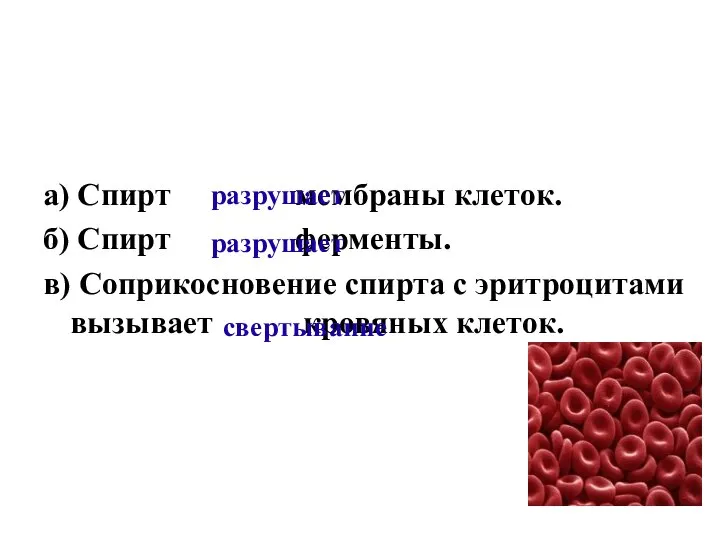 а) Спирт мембраны клеток. б) Спирт ферменты. в) Соприкосновение спирта с