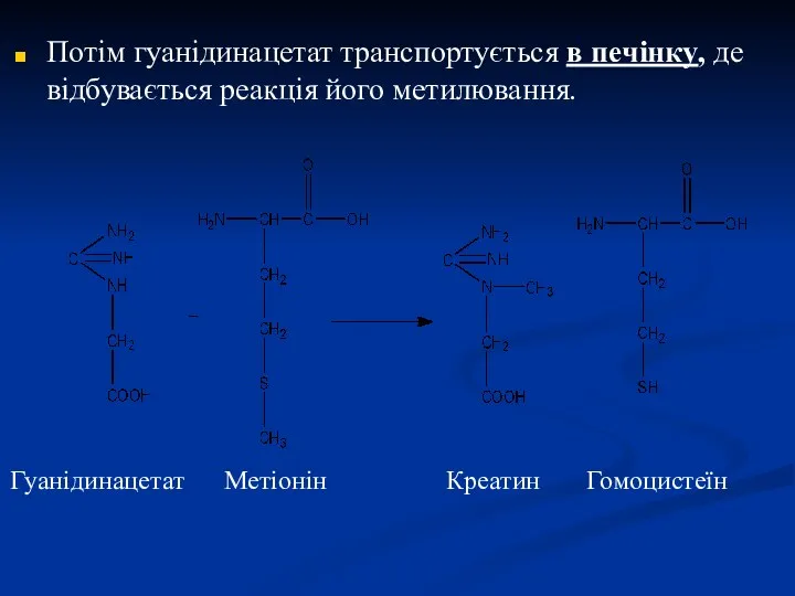 Потім гуанідинацетат транспортується в печінку, де відбувається реакція його метилювання. Гуанідинацетат Метіонін Креатин Гомоцистеїн