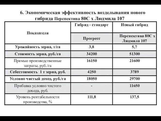 6. Экономическая эффективность возделывания нового гибрида Перспектива 80С х Людмила 107