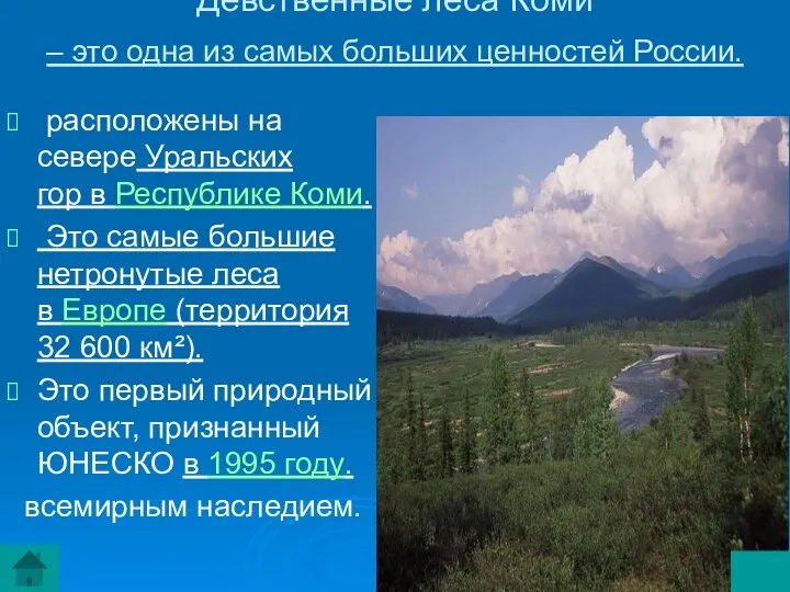 Девственные леса Коми – это одна из самых больших ценностей России.
