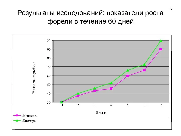 Результаты исследований: показатели роста форели в течение 60 дней 7