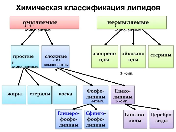 Химическая классификация липидов 1-компонентные 2- и > компонентные 2-компонентные 3- и > компонентные 3-комп. 3-комп. 4-комп.