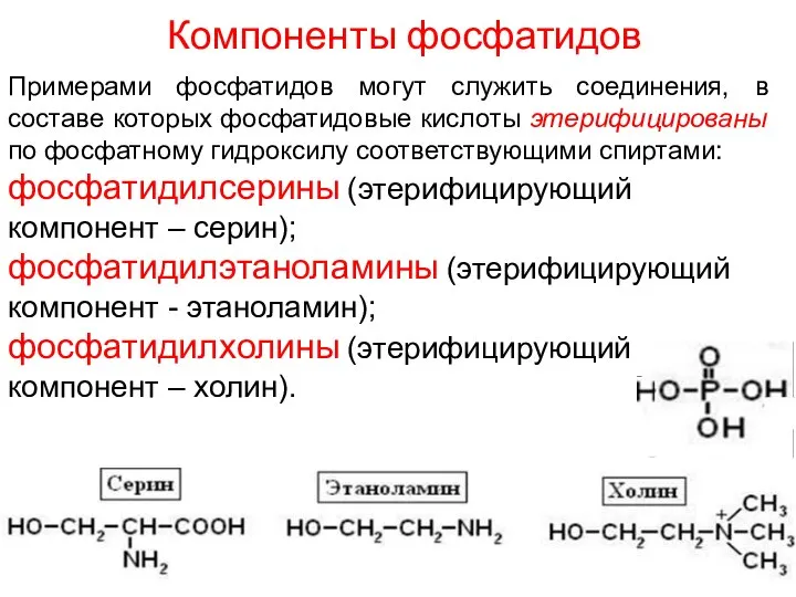 Компоненты фосфатидов Примерами фосфатидов могут служить соединения, в составе которых фосфатидовые