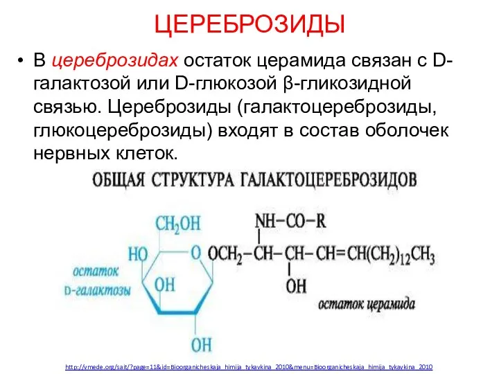 ЦЕРЕБРОЗИДЫ В цереброзидах остаток церамида связан с D-галактозой или D-глюкозой β-гликозидной