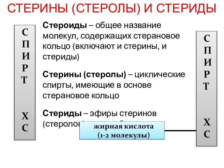 СТЕРИНЫ (СТЕРОЛЫ) И СТЕРИДЫ Стероиды – общее название молекул, содержащих стерановое