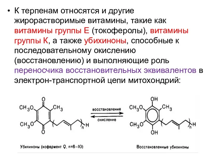 К терпенам относятся и другие жирорастворимые витамины, такие как витамины группы