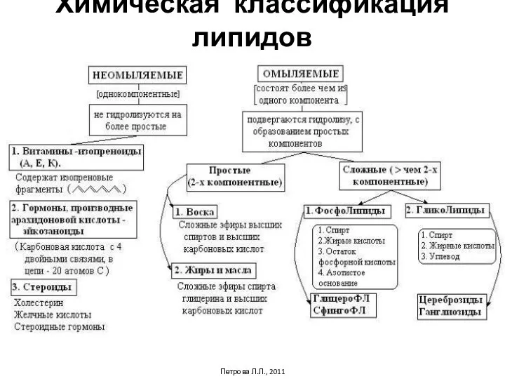 Химическая классификация липидов Петрова Л.Л., 2011