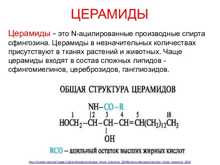 ЦЕРАМИДЫ Церамиды - это N-ацилированные производные спирта сфингозина. Церамиды в незначительных