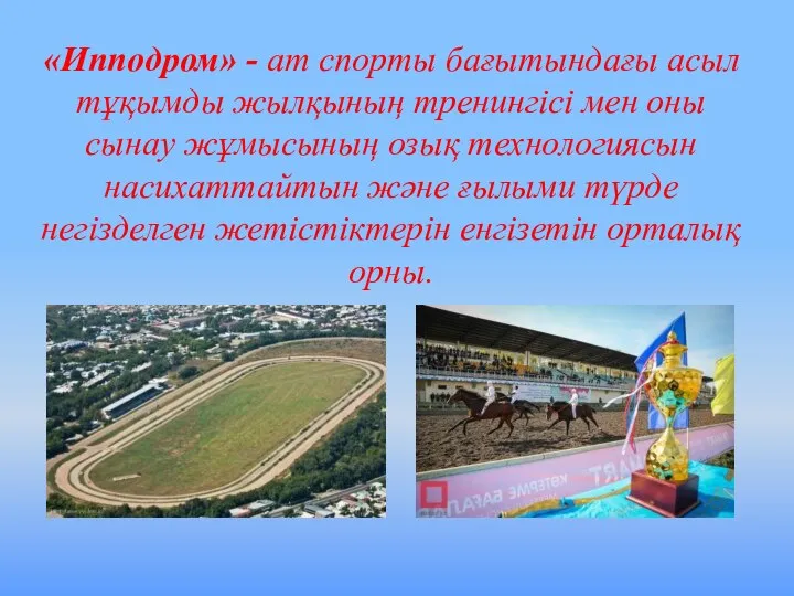 «Ипподром» - ат спорты бағытындағы асыл тұқымды жылқының тренингісі мен оны