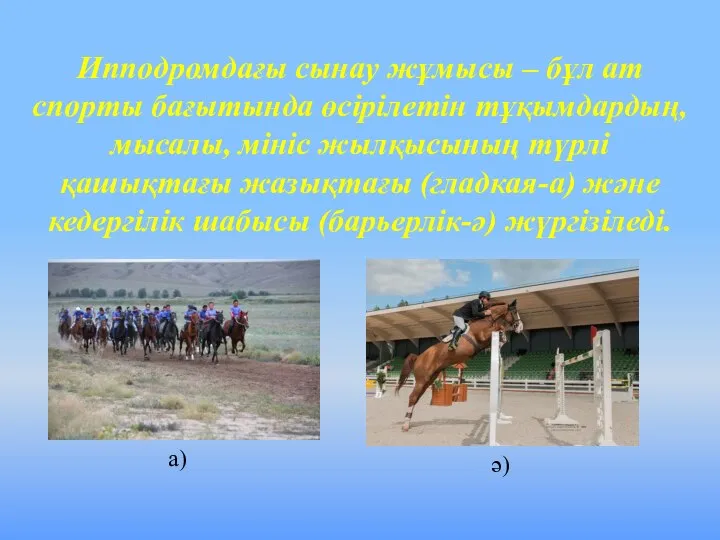 Ипподромдағы сынау жұмысы – бұл ат спорты бағытында өсірілетін тұқымдардың, мысалы,