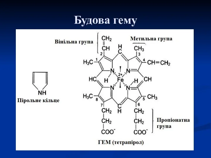 Будова гему