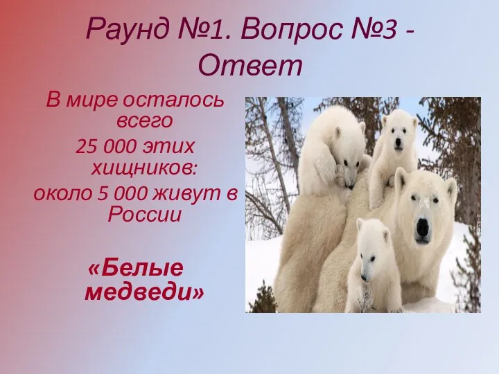 Раунд №1. Вопрос №3 - Ответ В мире осталось всего 25