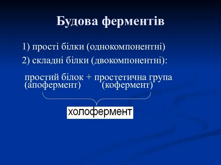 Будова ферментів 1) прості білки (однокомпонентні) 2) складні білки (двокомпонентні): простий