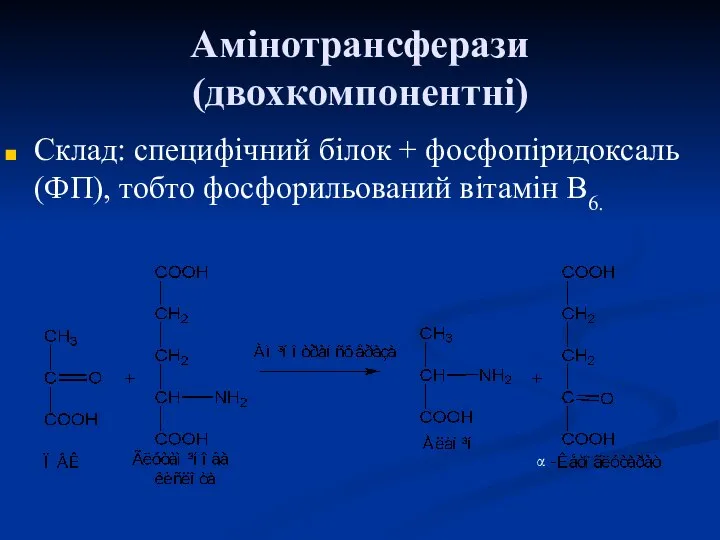 Амінотрансферази (двохкомпонентні) Склад: специфічний білок + фосфопіридоксаль (ФП), тобто фосфорильований вітамін В6. α