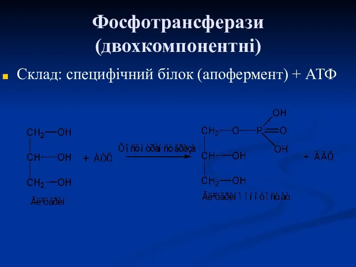 Фосфотрансферази (двохкомпонентні) Склад: специфічний білок (апофермент) + АТФ