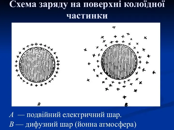 А — подвійний електричний шар. В — дифузний шар (йонна атмосфера)